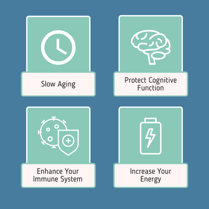 NAD+ NMN Liposomal Anti Aging Supplement Complex AEON White with Curcumin, and AKG